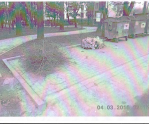 Сміттєрагулі “забули” гілля